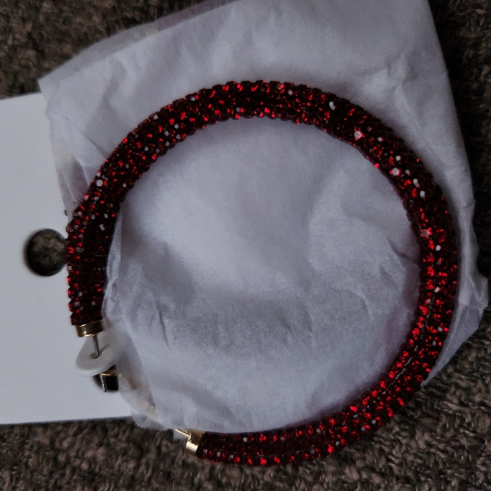 Hoop Earrings